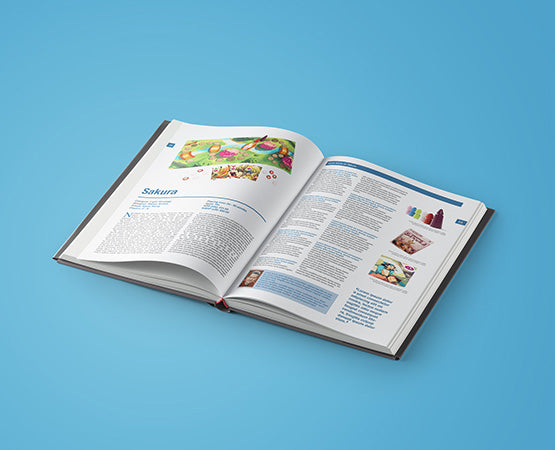 Preview - “The Boardgame Book” (June 2018 Kickstarter project)